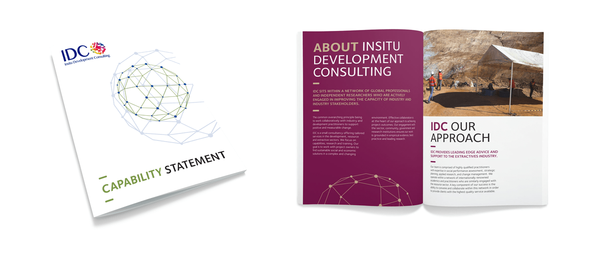 Insitu Development Consulting Brochure